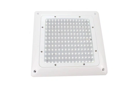 Cold Room LED Light