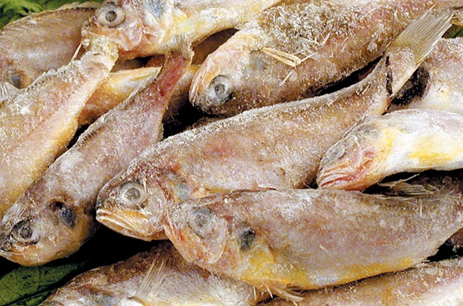 Fishery