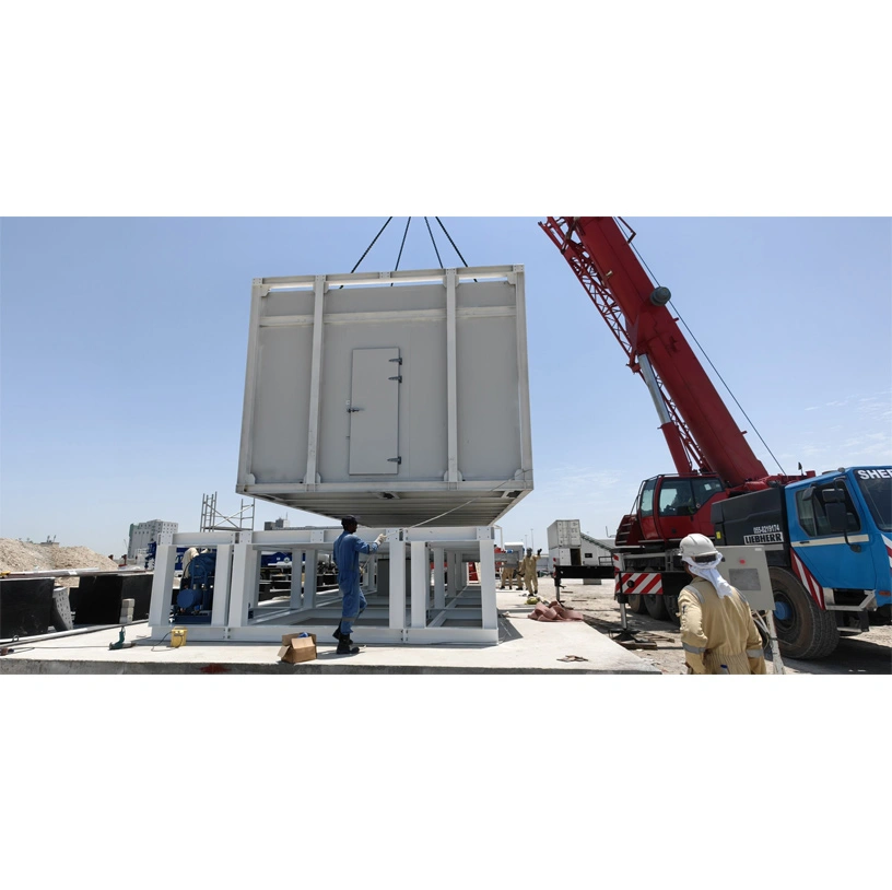 Plate Ice Plant