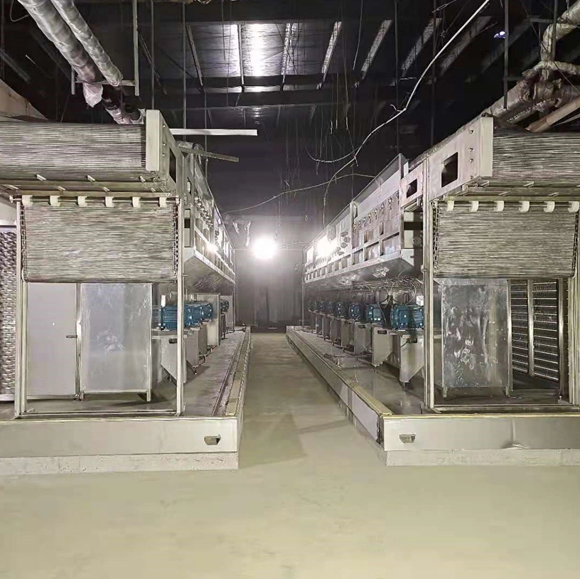 IQF (Individual Quick Freezing) Machine