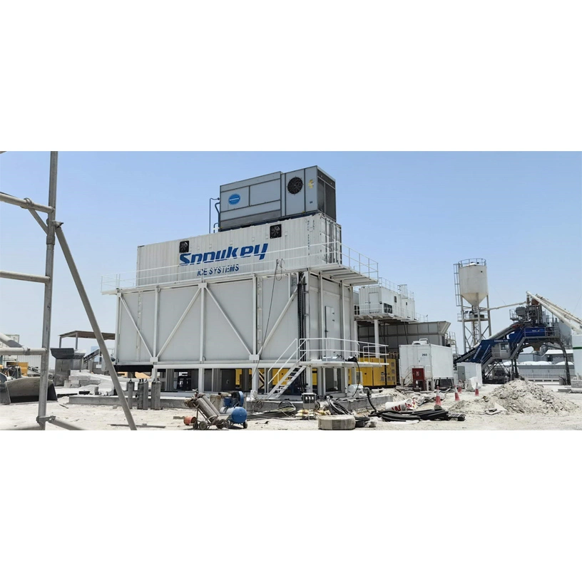 Plate Ice Plant