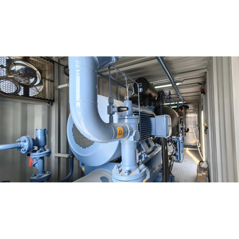 Plate Ice Plant