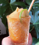 Slush&Shake Ice Craeam Machine