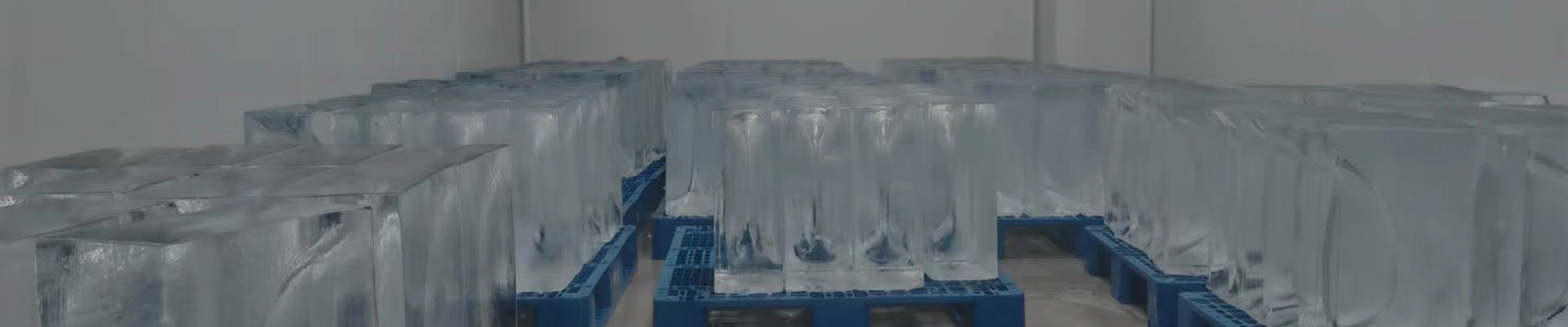 Edible Ice