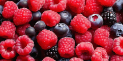 Fruit and Vegetable Freezing: