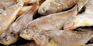 Seafood Processing: